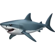 Shark sticker