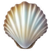 Pearl shell sticker