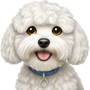 white maltipoo dog sticker