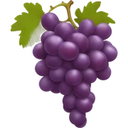 Grapes  sticker