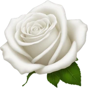 White rosses sticker