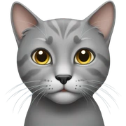 Grey cat sticker