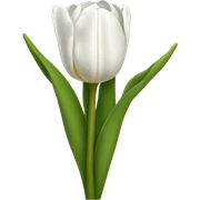 White tulips sticker