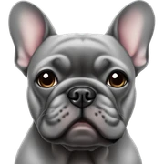 Dark grey French bulldog tired sticker