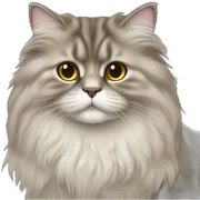 British longhair sticker