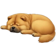 chow chow sleeping sticker