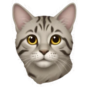 Кот sticker