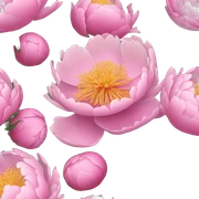 Peony  sticker