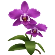 Orchid sticker