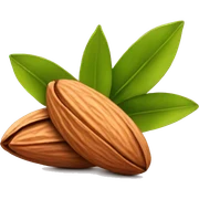 Almond sticker