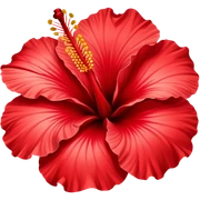 hibiscus flower sticker