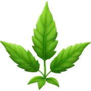 weed plant sticker