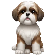 Shih tzu  sticker