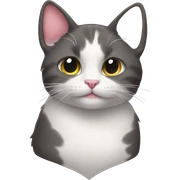 heart cat sticker