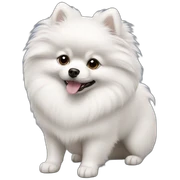 White pomeranian sticker