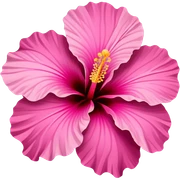 pink hibiscus sticker