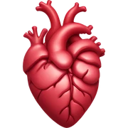 Anatomical heart sticker