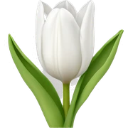 White tulip sticker