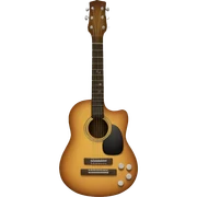 Guitar sticker