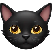Black cat sticker
