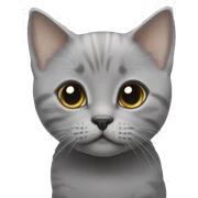 Grey British short hair kitten with white eye liner sticker