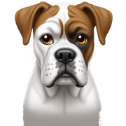 white boxer sticker