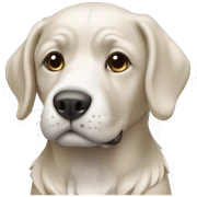 köpek sticker