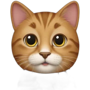 Cats sticker