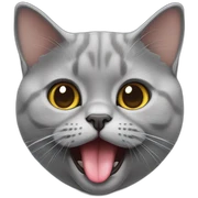 British shorthair cat face tongue out sticker
