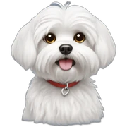 Maltese sticker