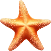 Starfish sticker