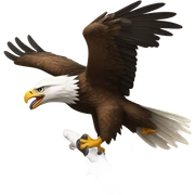 Eagles  sticker