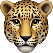 leopar kalp sticker