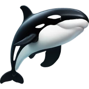 Orca  sticker