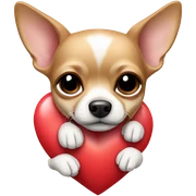 Chihuahua with heart sticker