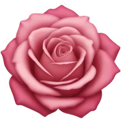 Rose sticker