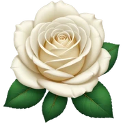 White rose emoji sticker