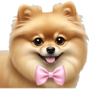 Pomeranian with pastel pink bow sticker