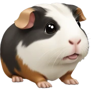 Guinea pig sticker