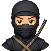 Ninja sticker