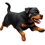 rottweiler jumping sticker
