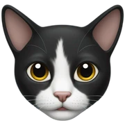 Gato negro sticker