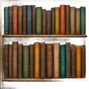 Cozy bookshelf with vintage books sticker
