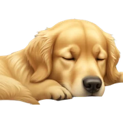 Golden retriever sleeping sticker