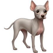 hairless dog sticker