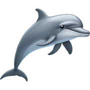 Dolphin  sticker