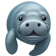 manatee  sticker