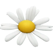 Daisy  sticker