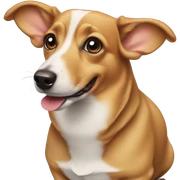 Dachshund corgi mix dog  sticker