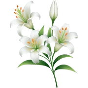 Lilly flowers  sticker